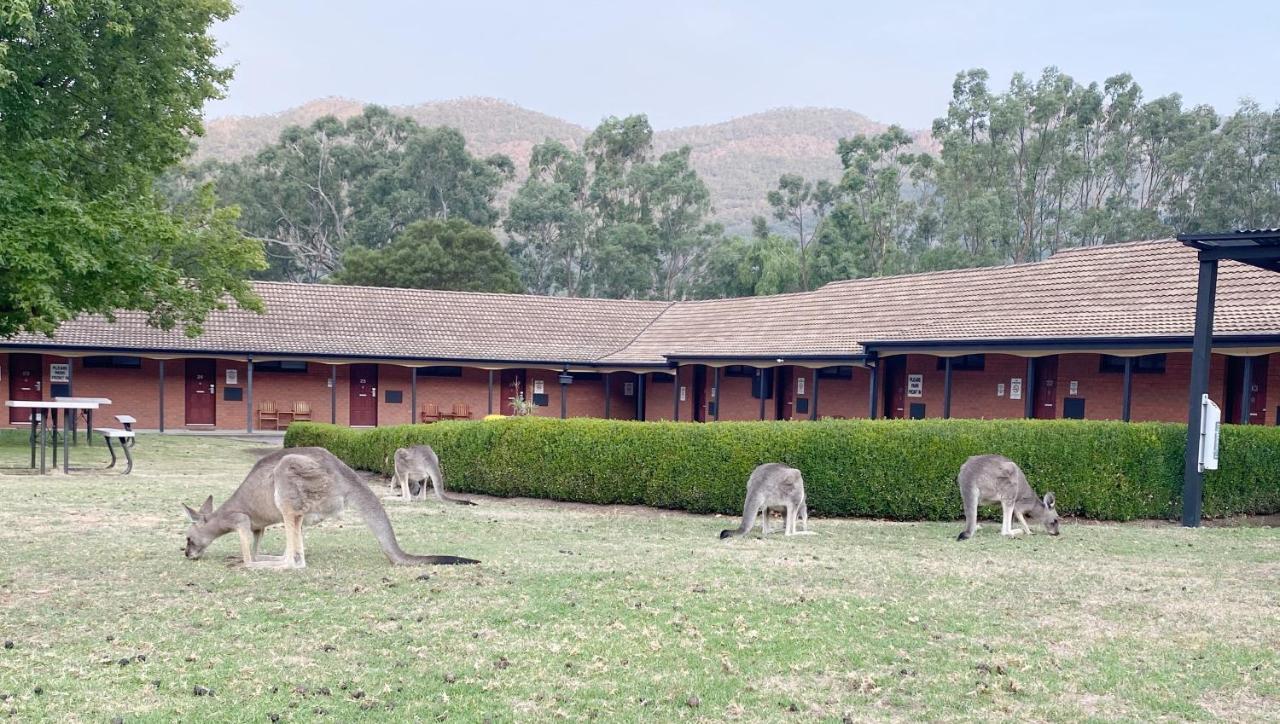 Country Plaza Halls Gap Motel Exterior photo